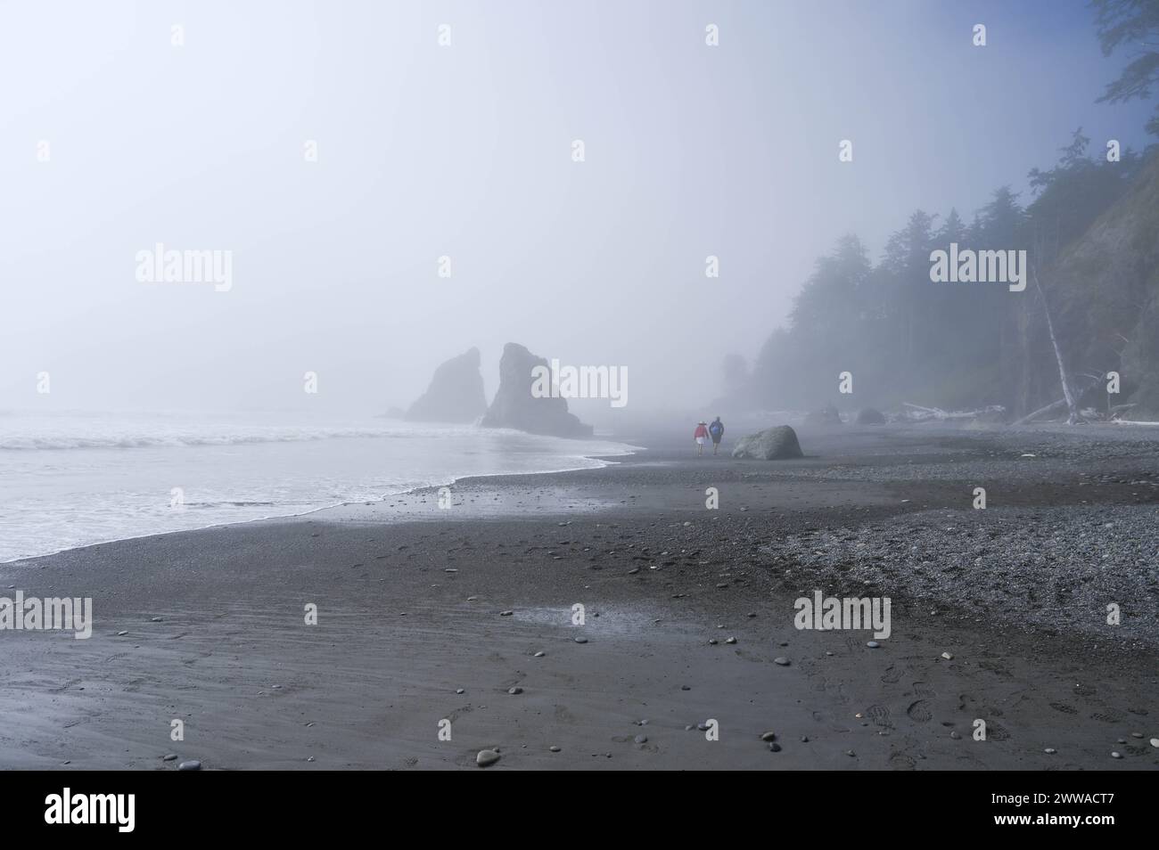 Ruby Beach im Bundesstaat Washington an der Küste des Pazifischen Ozeans. Leute, die an einem nebeligen Tag am Strand spazieren gehen. Stockfoto