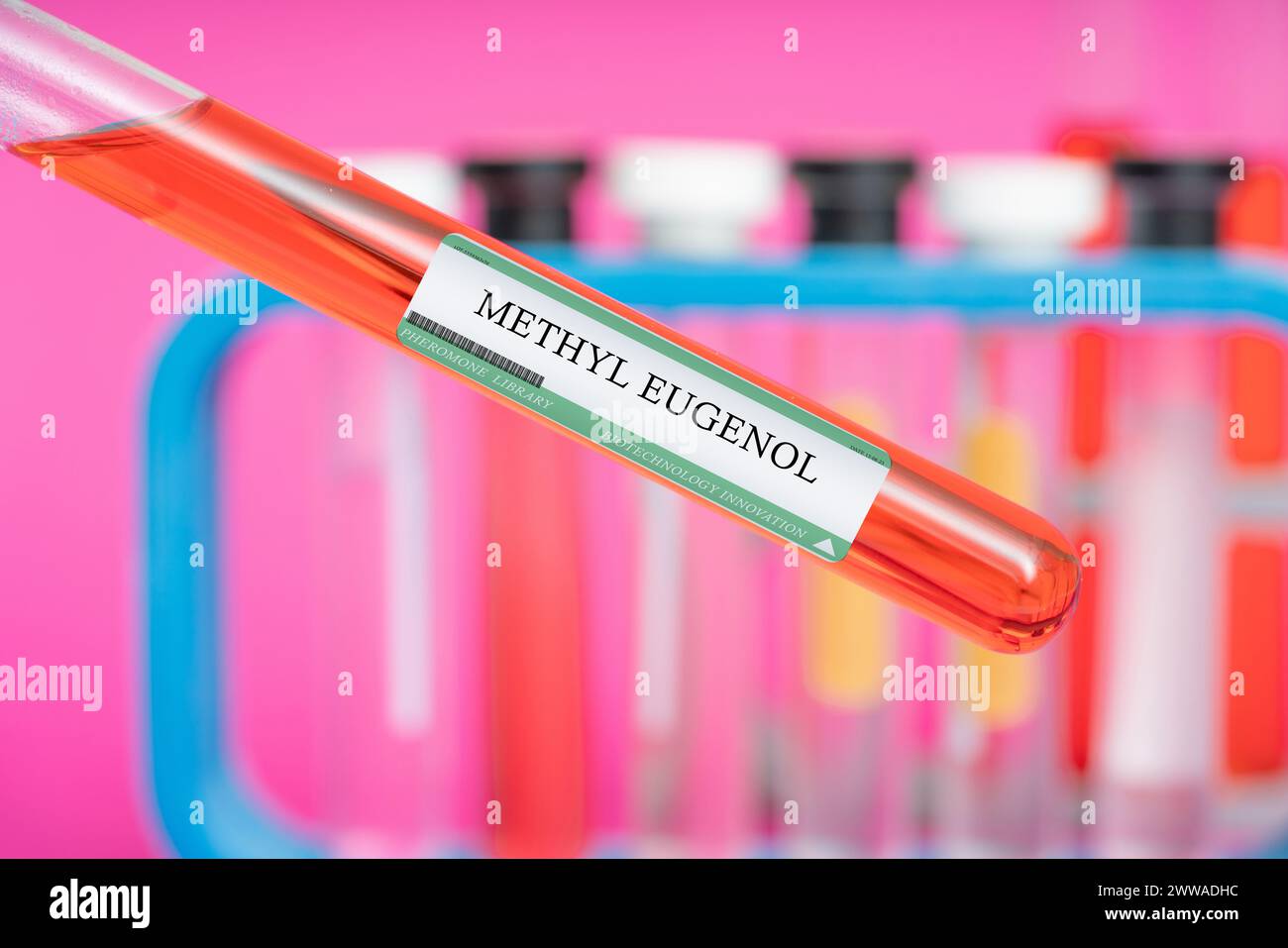 Methyleugenolpheromon. Ein Pheromon, das von männlichen Fruchtfliegen produziert wird und weibliche Fliegen anzieht. Stockfoto