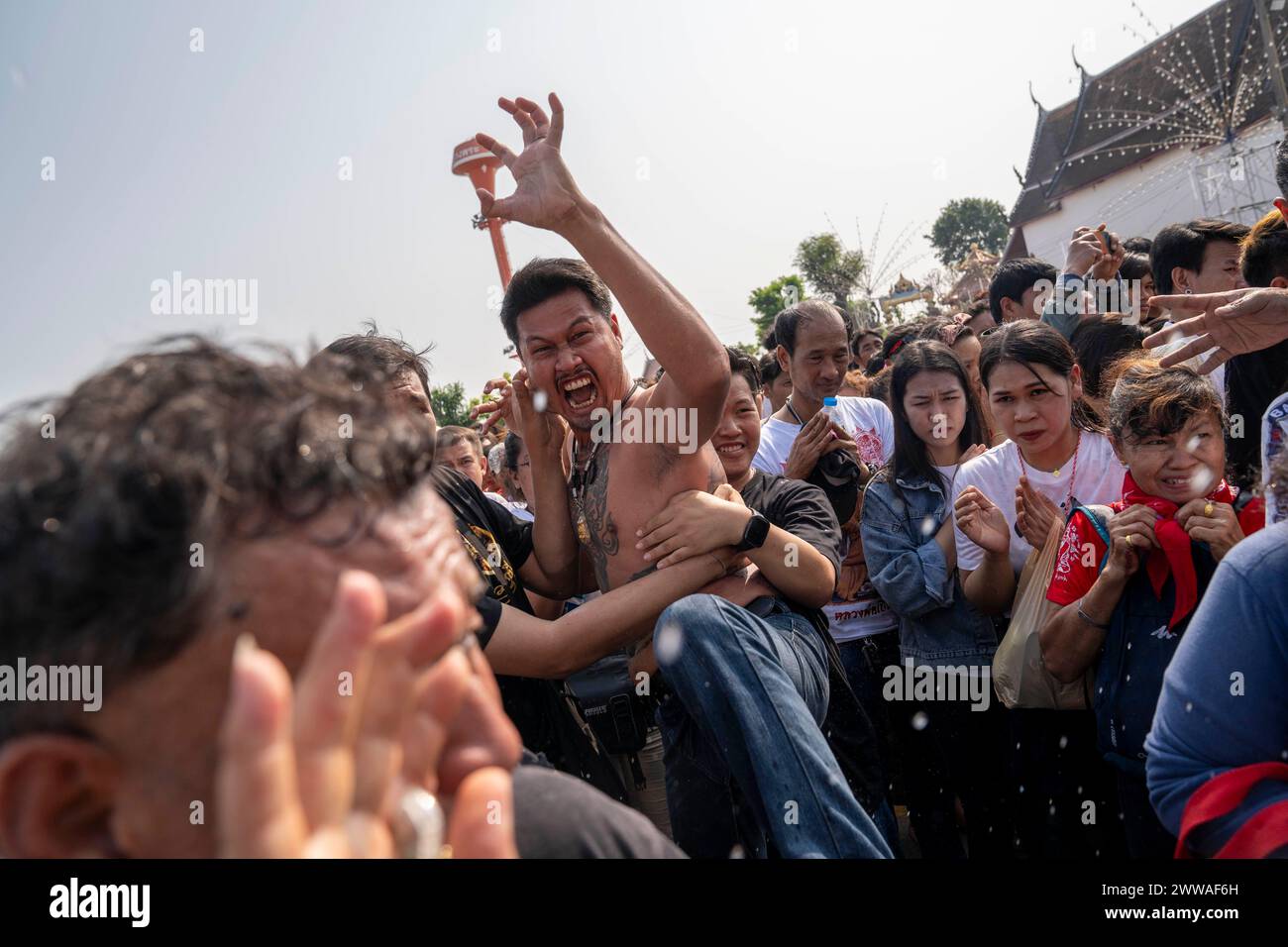 Nakhon Pathom, Thailand. März 2024. Gläubige, die heilige sak Yant Tattoos hatten, fallen während der jährlichen Wai Kru Zeremonie in Wat Bang Phra in Nakhon Pathom, Thailand in Besitz und gewaltsam in Richtung des Tempels. Wat Bang Phra Tempel, 40 km von der thailändischen Hauptstadt Bangkok entfernt, findet einmal im Jahr die Wai Gru Zeremonie statt. Der Name des Tempels wird übersetzt als Kloster des Flussufers Buddha Bild. Sak Yant Tätowierungen sind hochstilisierte Tätowierungen buddhistischer Gebete und religiöser Symbole, die den Gläubigen, die sie auf ihren Körper legen, einen besonderen Schutz und andere Vorteile bieten. Stockfoto