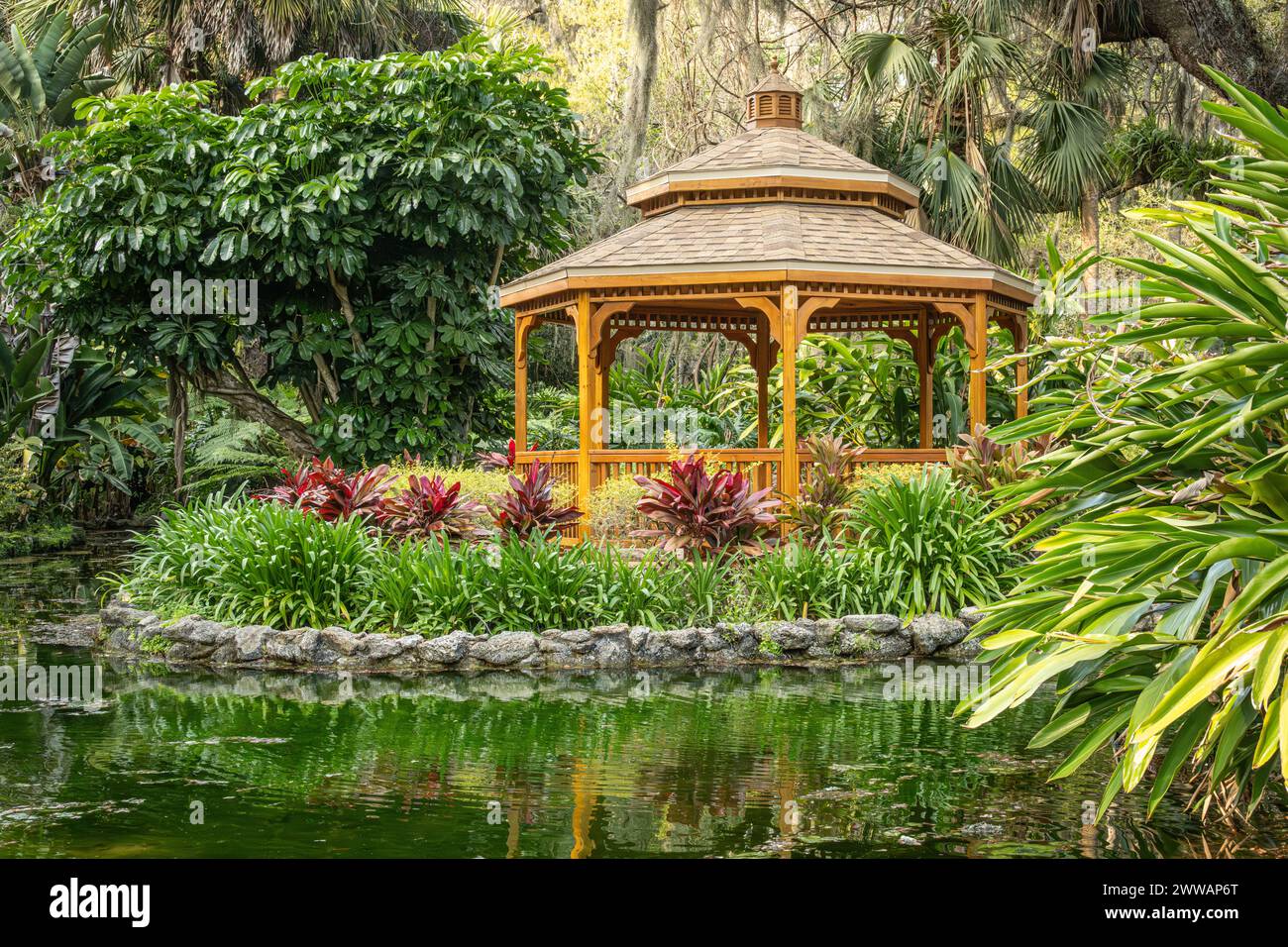 Gartenlaube und malerischer Teich in den exquisiten formellen Gärten des Washington Oaks Gardens State Park in Palm Coast, Florida. (USA) Stockfoto