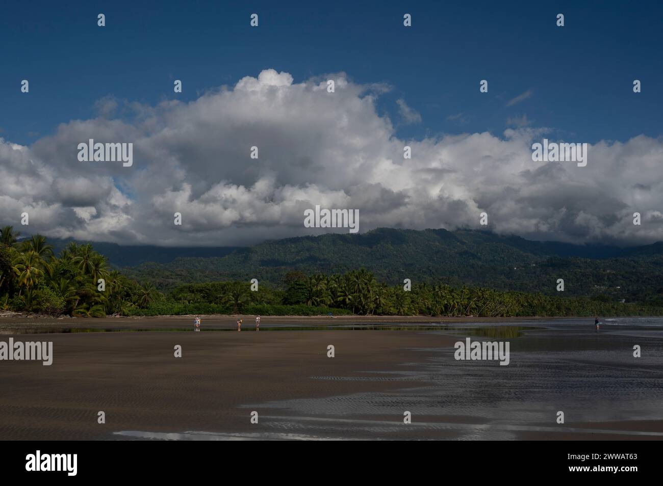 Der Tourismus und die Bootscharter nehmen am unberührten Strand von Uvita in Costa Rica zu. Stockfoto