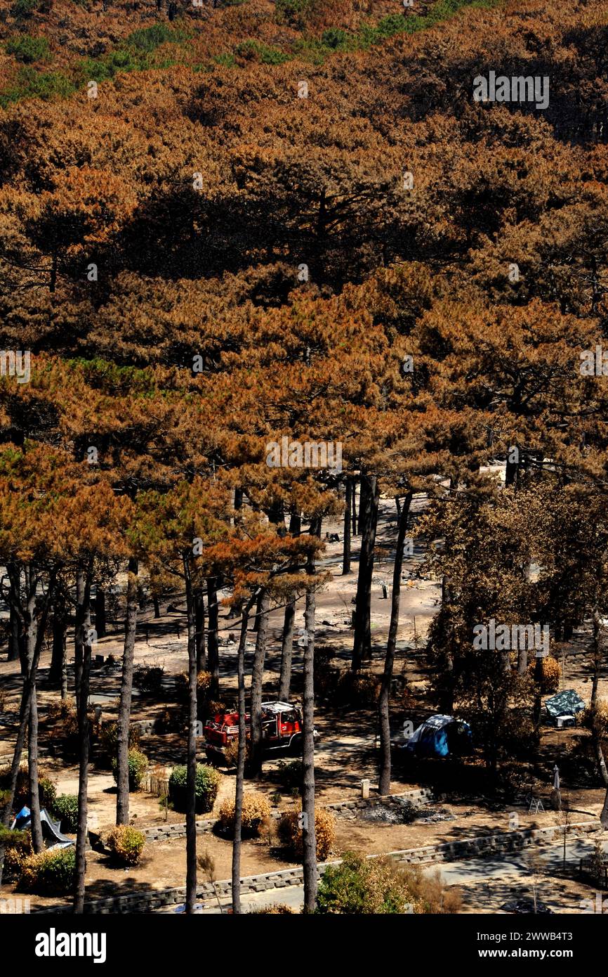 Campingplatz Flots Bleus in der Nähe der Düne du Pilat in der Stadt Teste de Buch, die durch den Brand im Juli 2022 zerstört wurde. Stockfoto