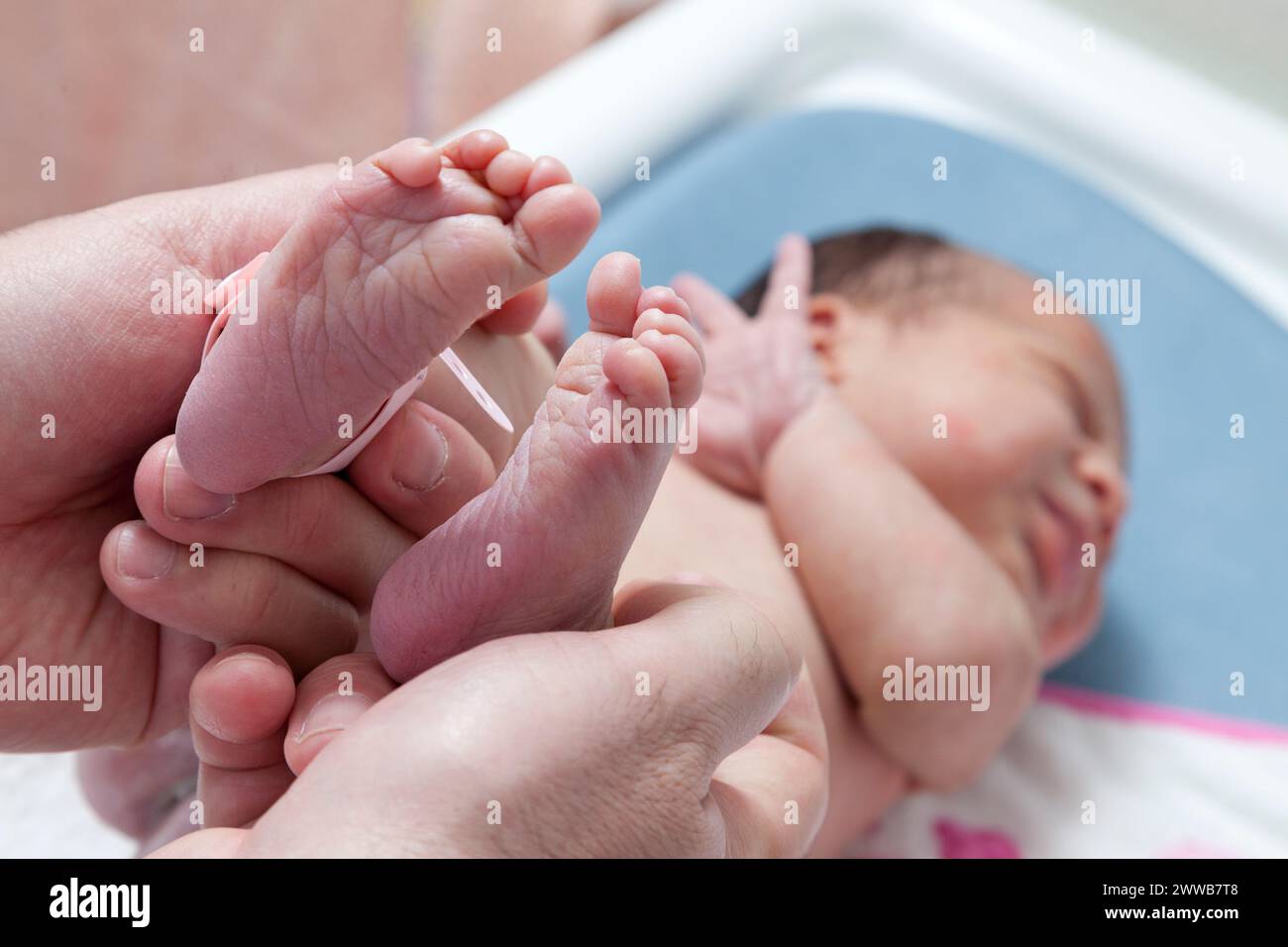 Der Kinderarzt kontrolliert die Füße und den Fußgewölbe. Stockfoto