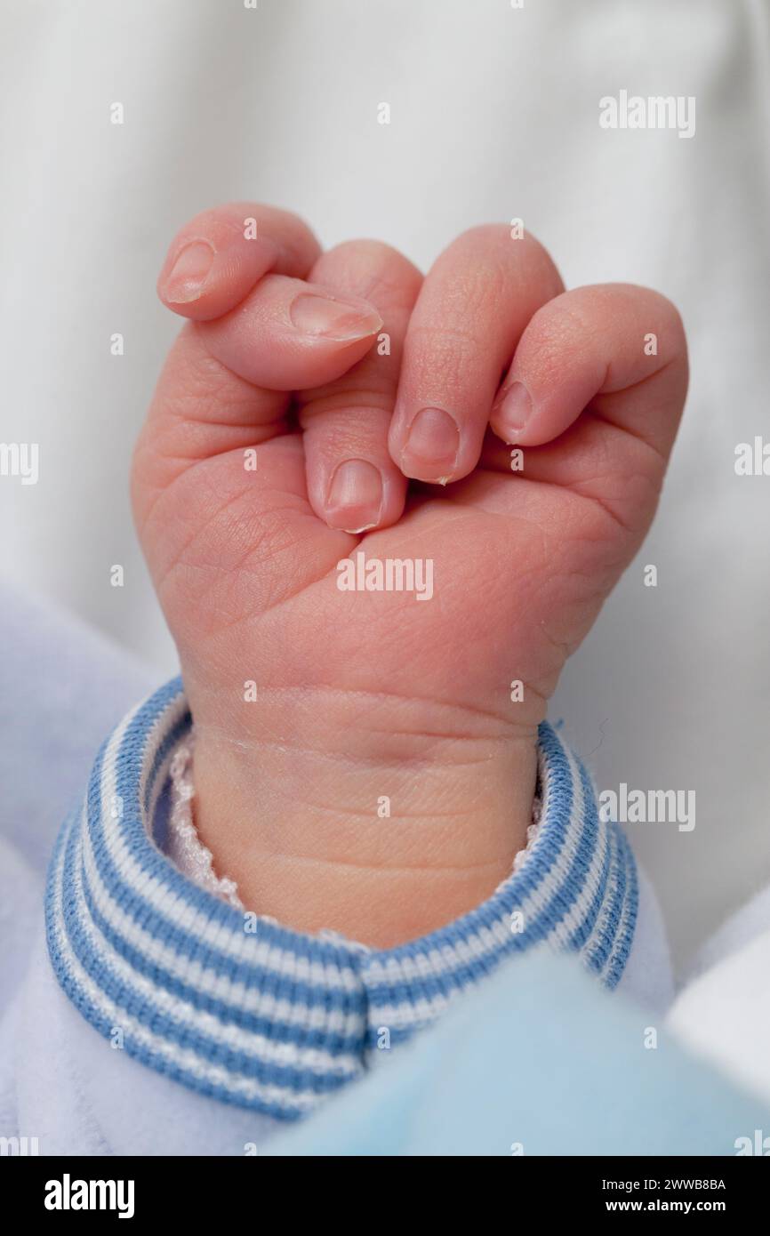 Ein Tag alte Hand des Neugeborenen. Stockfoto