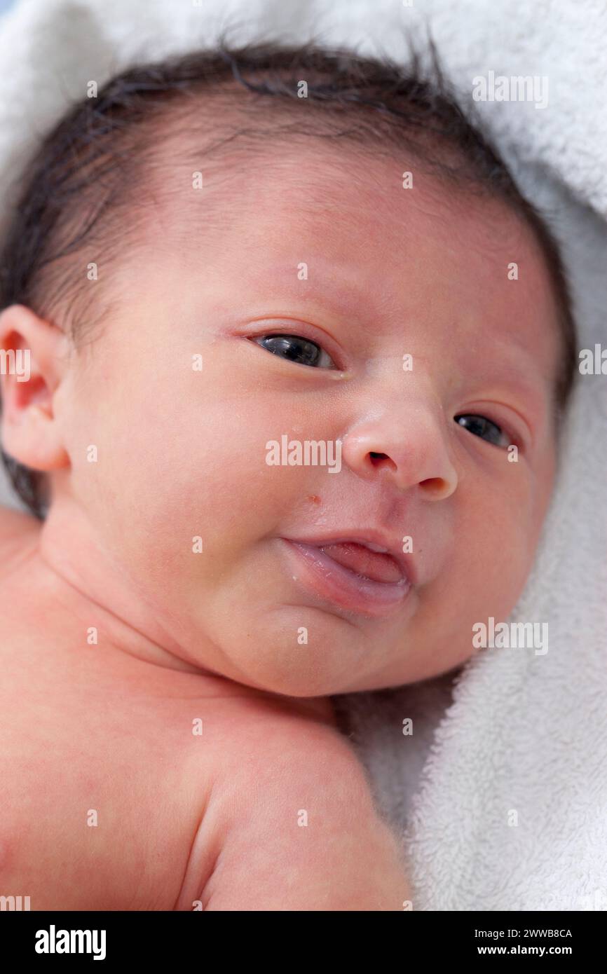 Gesicht eines wachen Neugeborenen (2 Tage alt), das seine Zunge herausstreckt. Stockfoto