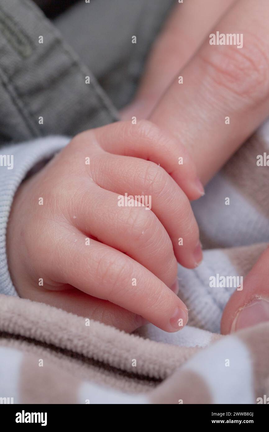 Die Hand des Babys quetscht Mamas Finger. Stockfoto