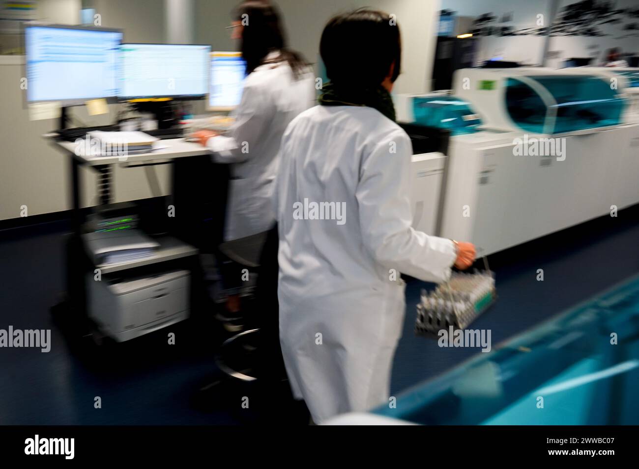 Technische Plattform des Laboratoriums Inovie 34. Transport der Probenröhrchen zu einer Maschine zur Analyse. Stockfoto