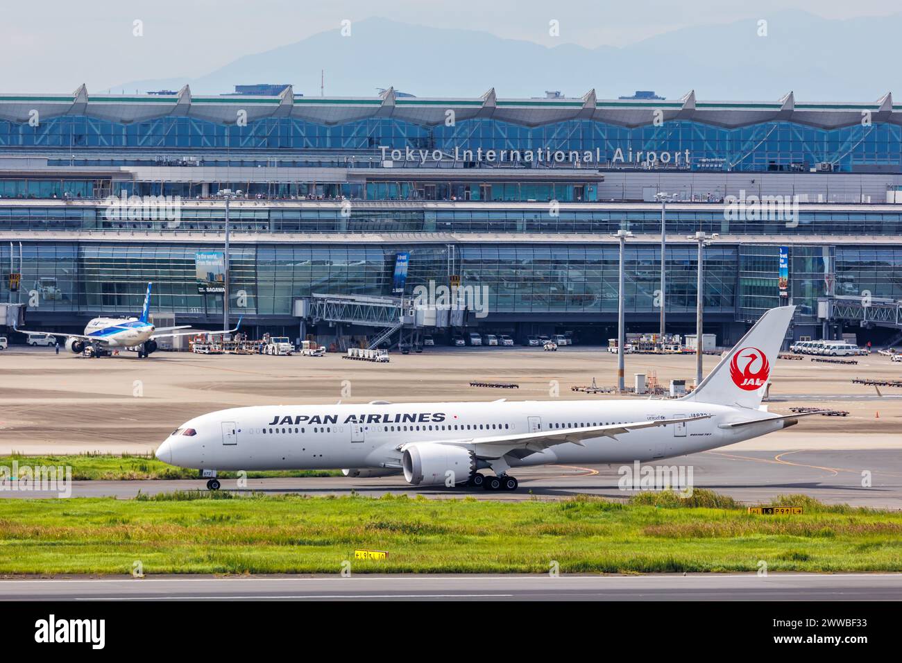 Tokio, Japan - 25. September 2023: JAL Japan Airlines Boeing 787-9 Dreamliner Flugzeug am Flughafen Tokio Haneda (HND) in Japan. Stockfoto