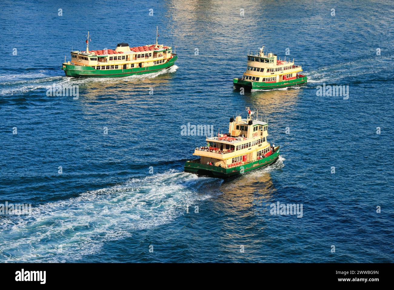 Fähren im Hafen von Sydney. Kommerzielle Ausflugsboote, die zwischen der Nordküste von Sydney und den Terminals am Circular Quay fahren. Stockfoto