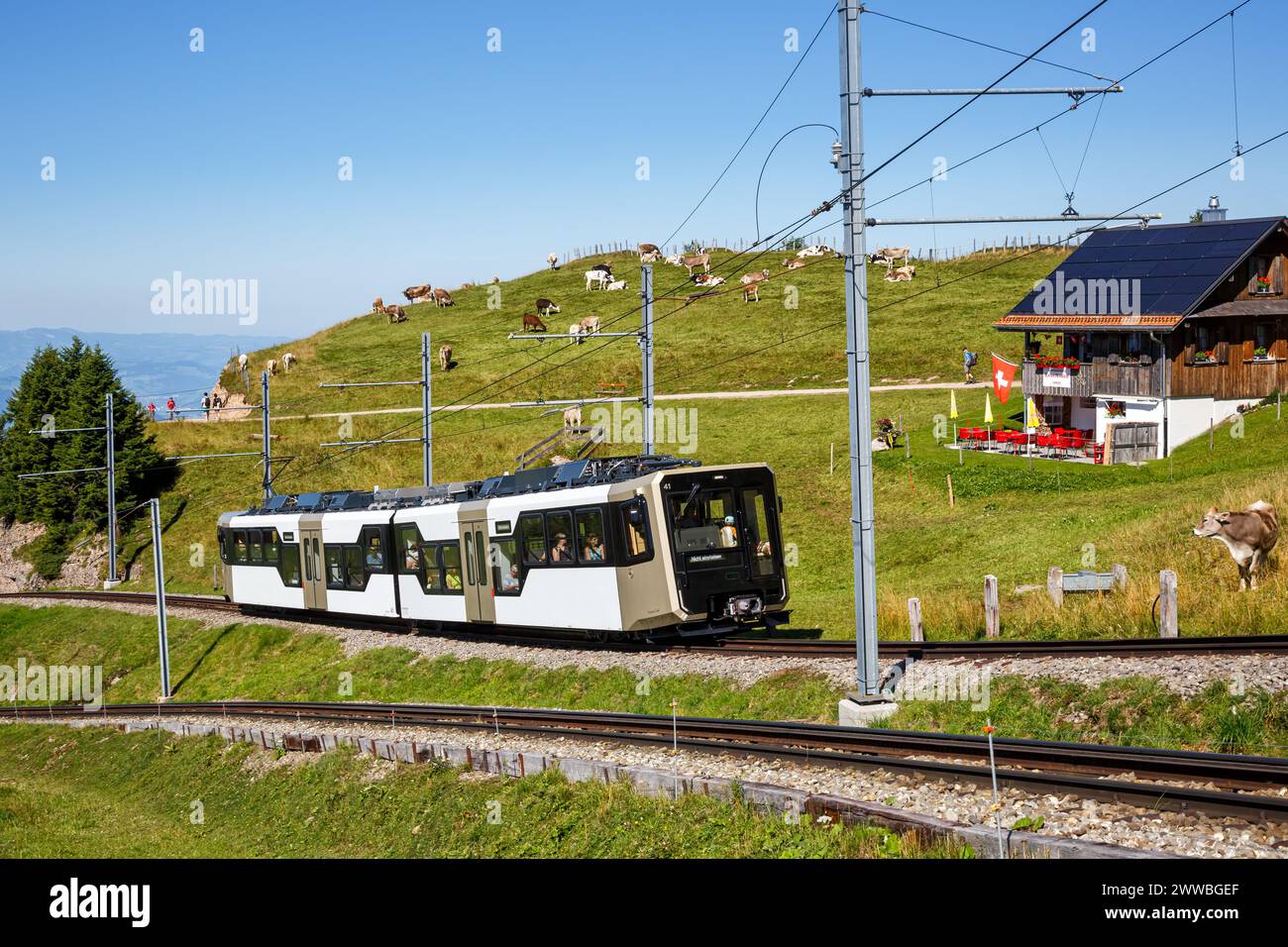 Eisenbahnstrecke Arth–Rigi Zahnradzug auf dem Rigi Berg in den Schweizer Alpen Stockfoto