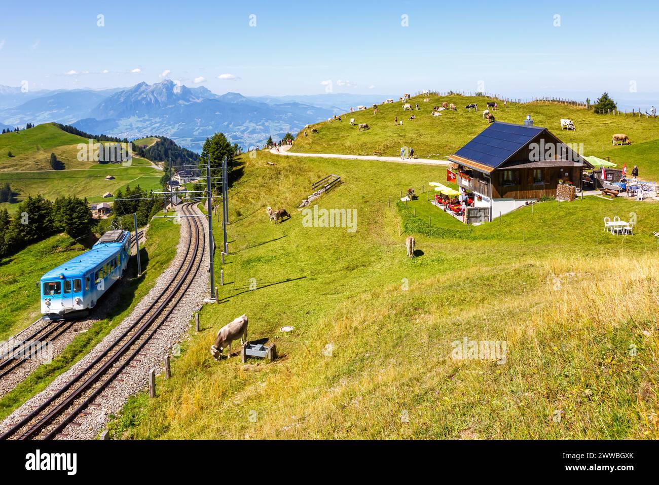 Eisenbahnstrecke Arth–Rigi Zahnradzug auf dem Rigi Berg in den Schweizer Alpen Stockfoto