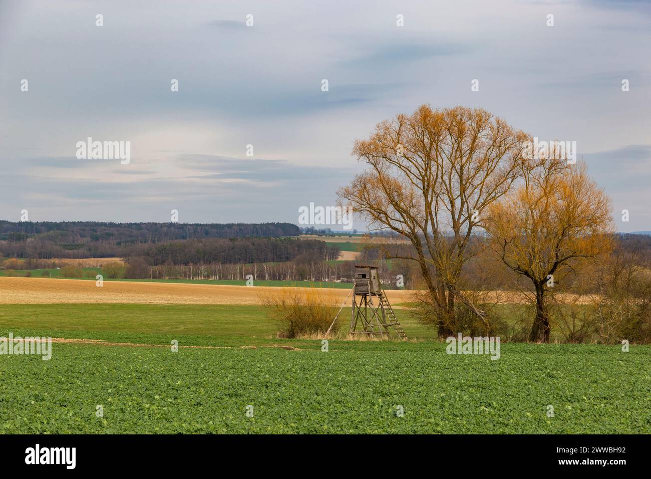Frühlingslandschaft in Mitteleuropa Stockfoto