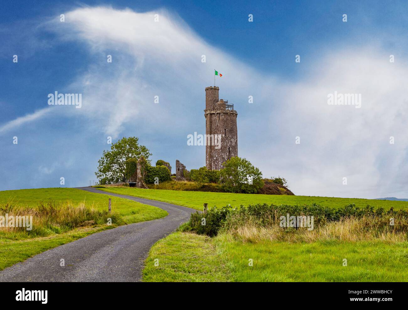 Der alte Folly Tower in Ballyfin Demesne im County Laois, erbaut von Sir Richard und William Vitruvius Morrison in den 1820er Jahren Stockfoto