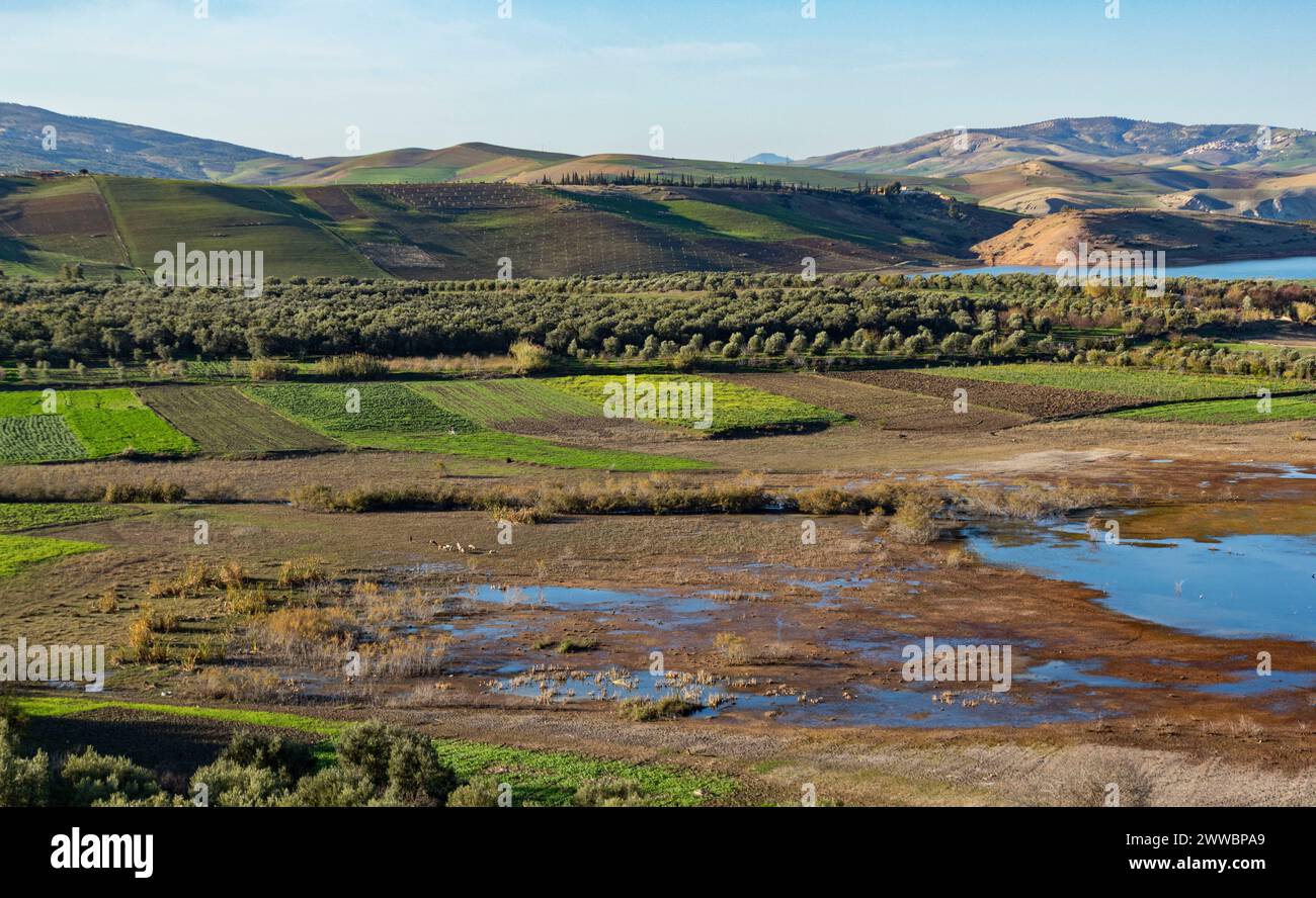 Die Hügel Marokkos rund um einen Stausee mit Obstgärten mit Olivenbäumen und Gemüsefeldern. Stockfoto