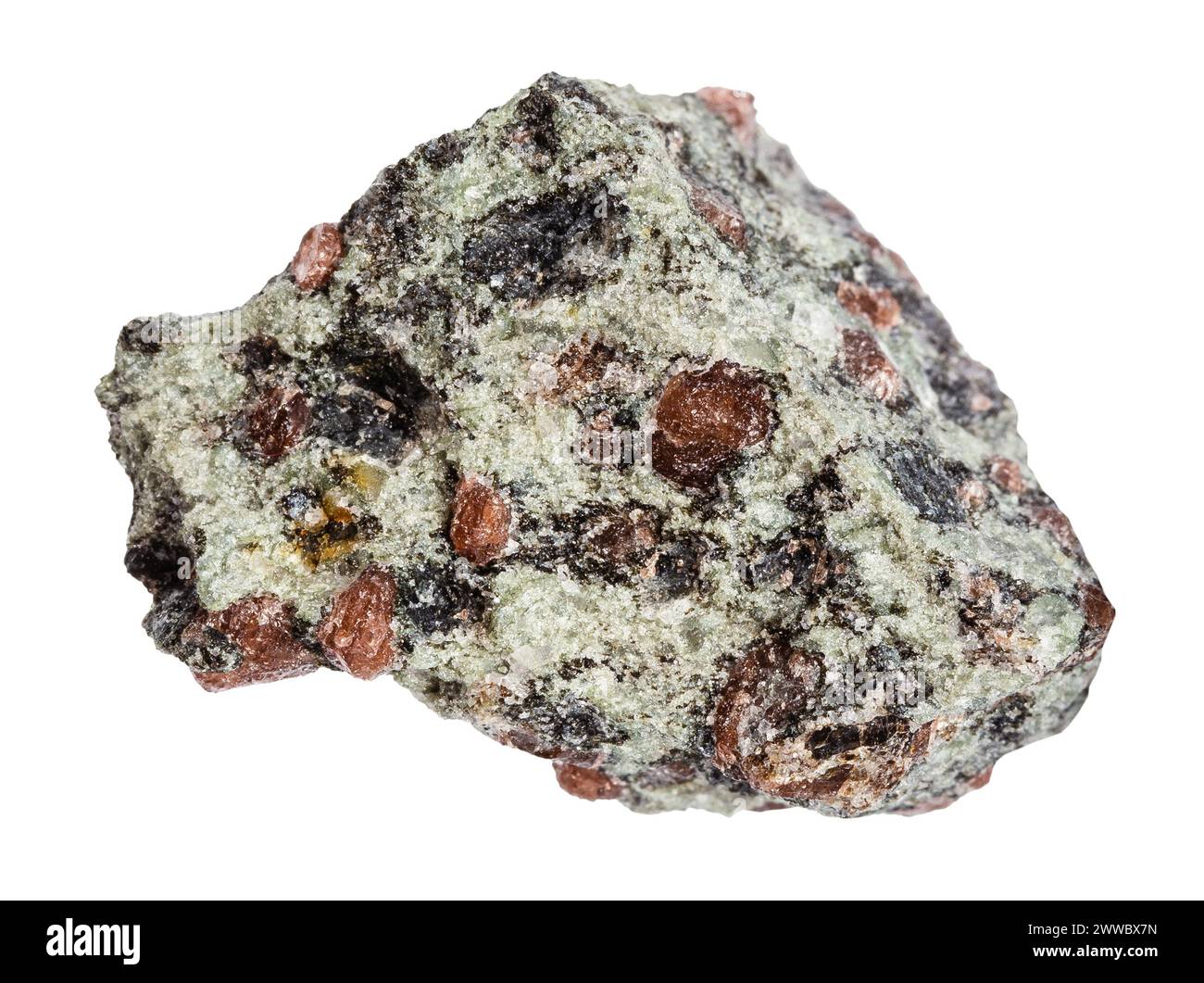 Nahaufnahme einer Probe von Naturstein aus geologischer Sammlung - Almandinpyropgranate in Pyroxenmatrix (Eklogitmineral) isoliert auf weißem Rücken Stockfoto