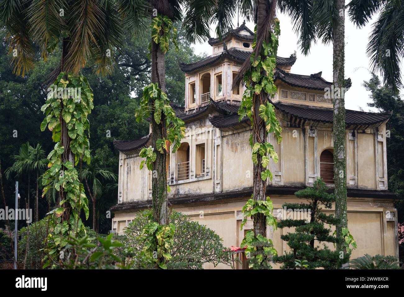 Kaiserliche Zitadelle von Thang Long. Ein Blick auf den eleganten Prinzessin Palace, eingebettet in einen Wald von Bäumen, der ein Gefühl von Zauber und Pracht weckt Stockfoto Kaiserliche Zitadelle von Thang Long. Ein Blick auf den eleganten Prinzessin Palace, eingebettet in einen Wald von Bäumen, der ein Gefühl von Zauber und Pracht weckt Stockfoto