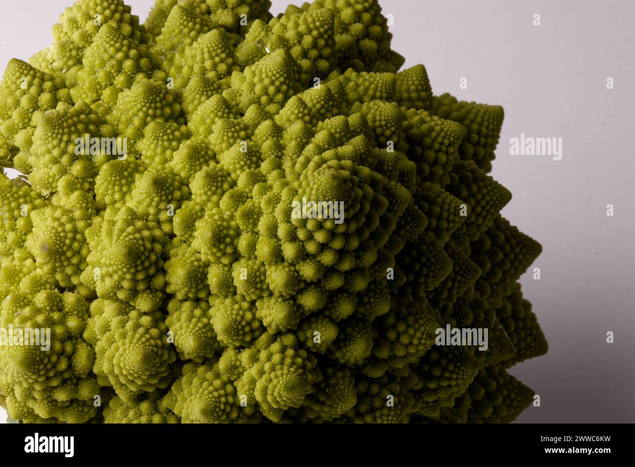 Makro eines biologischen Beispiels von Fibonacci-Spiralen und -Fraktalen in der Natur mit einem Romanesco-Blumenkohl Stockfoto