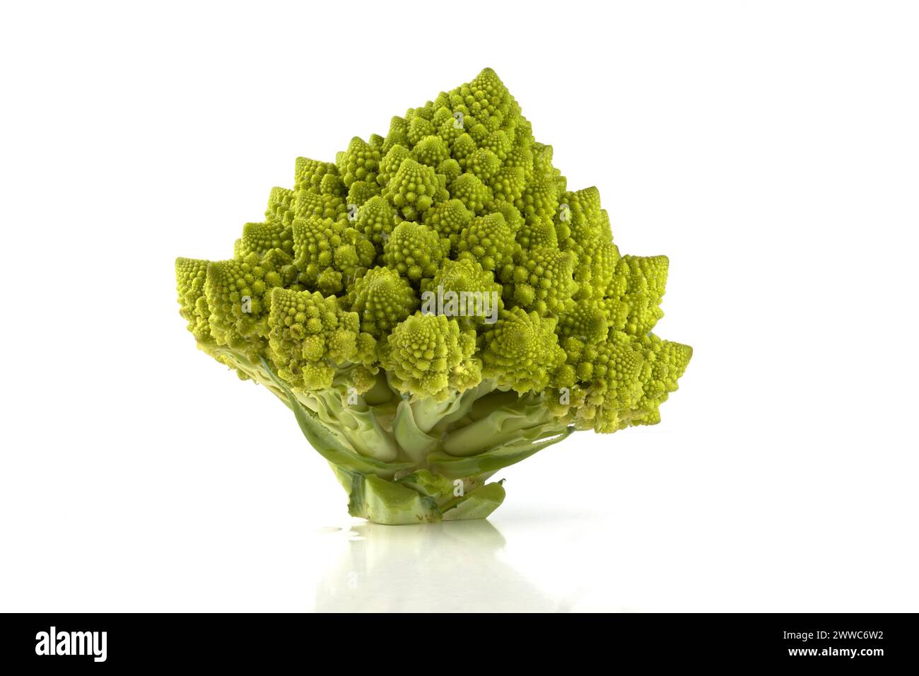 Ein biologisches Beispiel für Fibonacci-Spiralen und -Fraktale in der Natur mit einem Romanesco-Blumenkohl isoliert auf weißem Hintergrund und mit echten Schatten Stockfoto