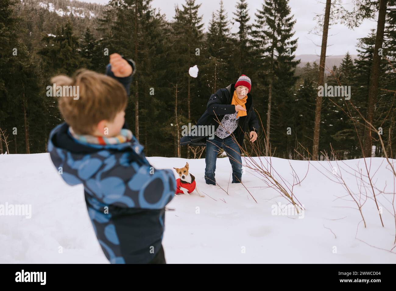 Vater und Sohn spielen mit Schneebällen in der Nähe des Hundes im Winterwald Stockfoto