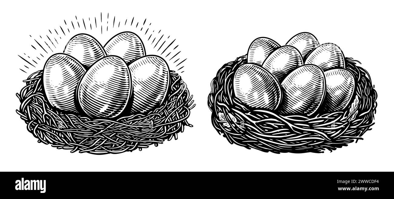 Hühnereier im Nest. Bio-Produkte für den Bauernhof. Handgezeichnete Zeichnung Stock Vektor