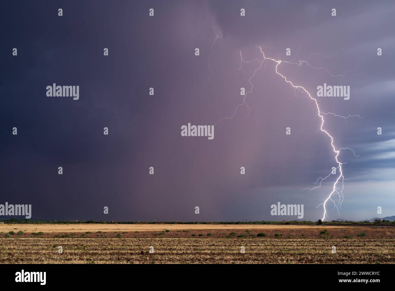 Gewitterblitze mit dunklen Wolken und Regen in der Nähe von Tucson, Arizona Stockfoto