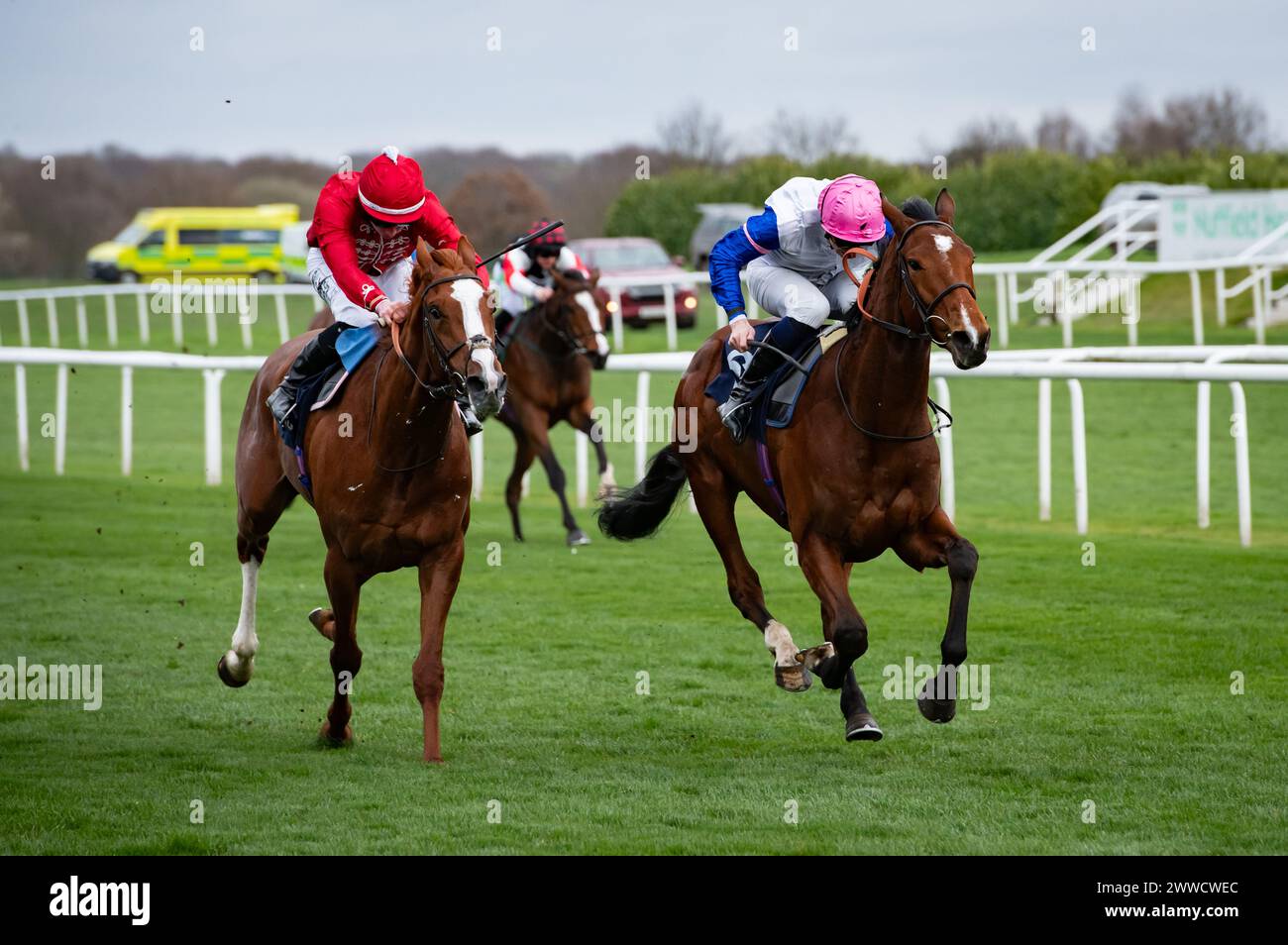Doncaster, Großbritannien. 23. März 2024. Moon Over Miami und Hector Crouch gewinnen die William Hill „Epic Value“ Maiden Stakes für Trainer Ralph Beckett und Besitzer Valmont Credit: JTW equine Images/Alamy Live News Stockfoto