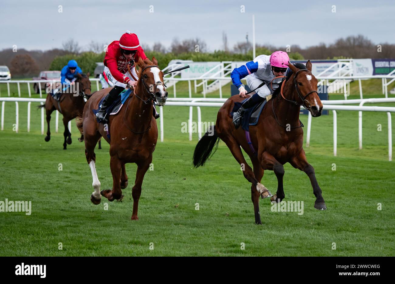 Doncaster, Großbritannien. 23. März 2024. Moon Over Miami und Hector Crouch gewinnen die William Hill „Epic Value“ Maiden Stakes für Trainer Ralph Beckett und Besitzer Valmont Credit: JTW equine Images/Alamy Live News Stockfoto