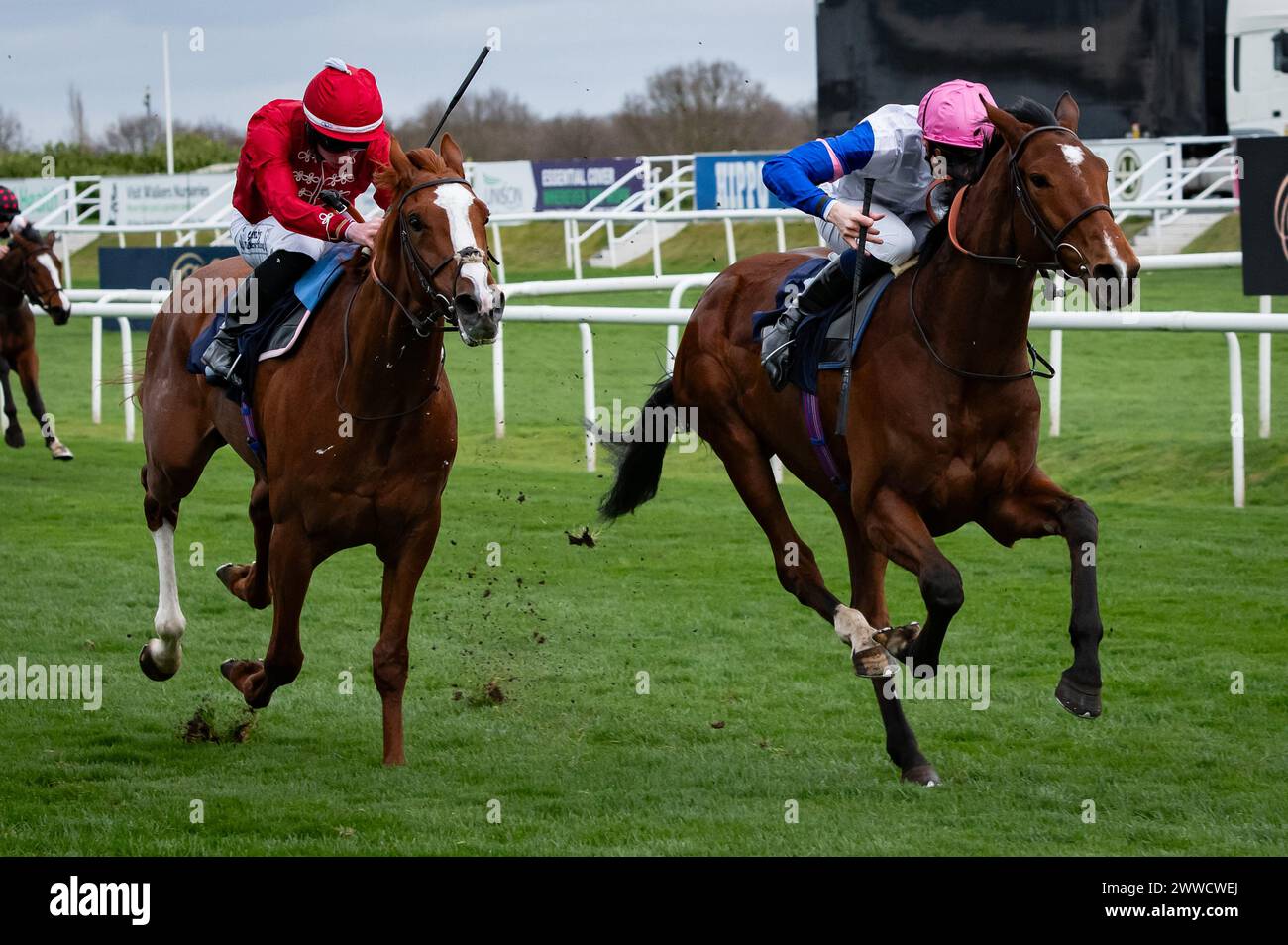 Doncaster, Großbritannien. 23. März 2024. Moon Over Miami und Hector Crouch gewinnen die William Hill „Epic Value“ Maiden Stakes für Trainer Ralph Beckett und Besitzer Valmont Credit: JTW equine Images/Alamy Live News Stockfoto