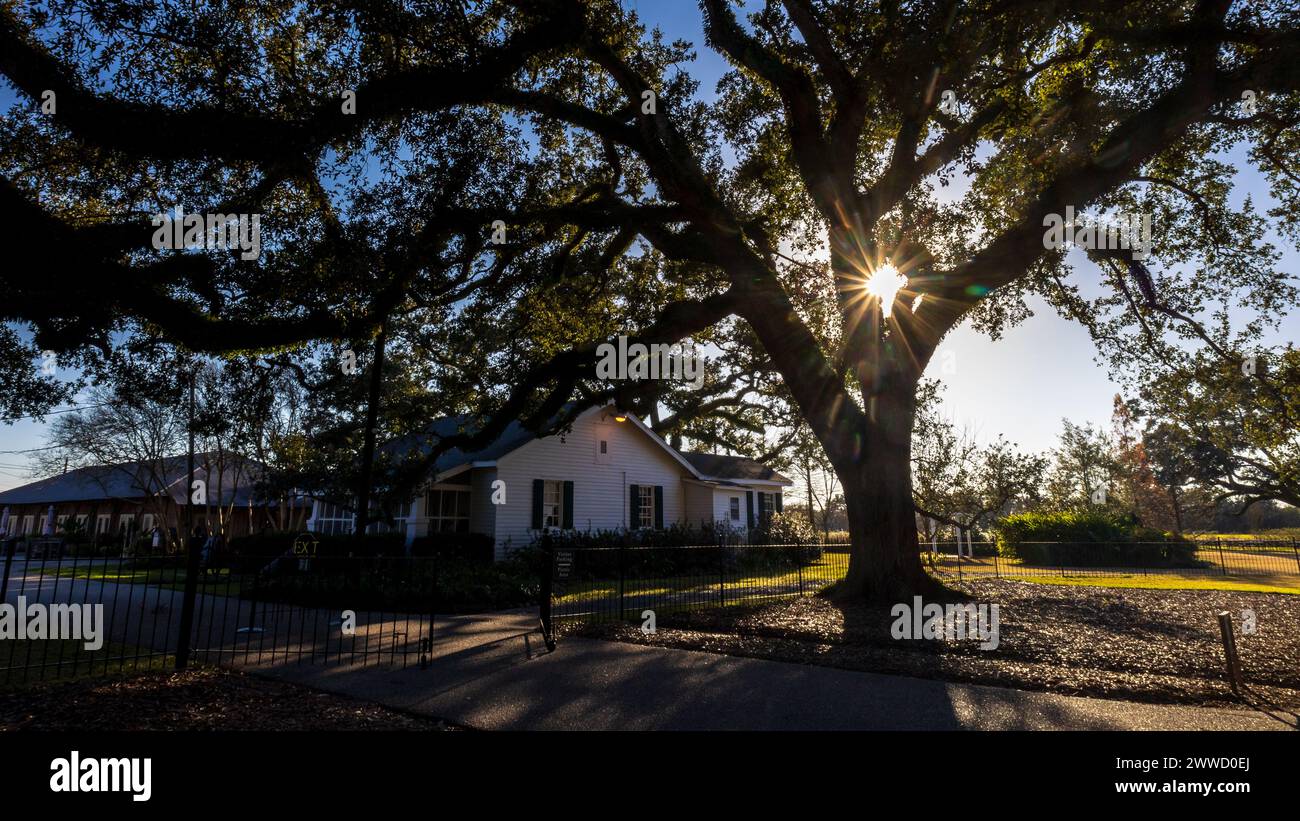 Oak Alley Plantation, New Orleans, Louisiana in einem wunderschönen Sonnenuntergang Stockfoto