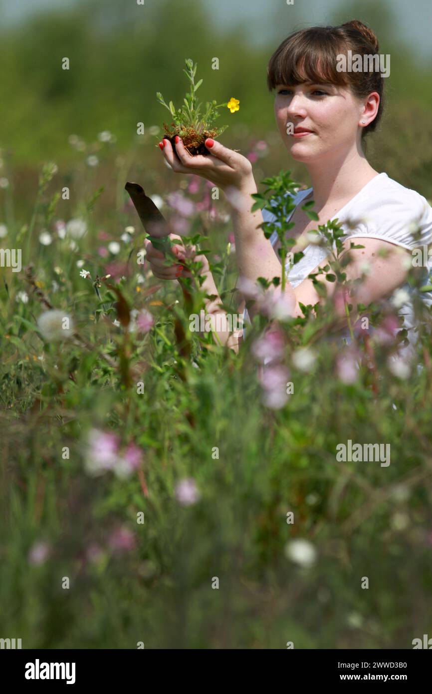 Bisher unveröffentlichtes Dateifoto vom 23/05/12, in dem Becky Johnston vor der Eröffnung am grünen Dach arbeitet. Großbritanniens größtes Bio-d Stockfoto
