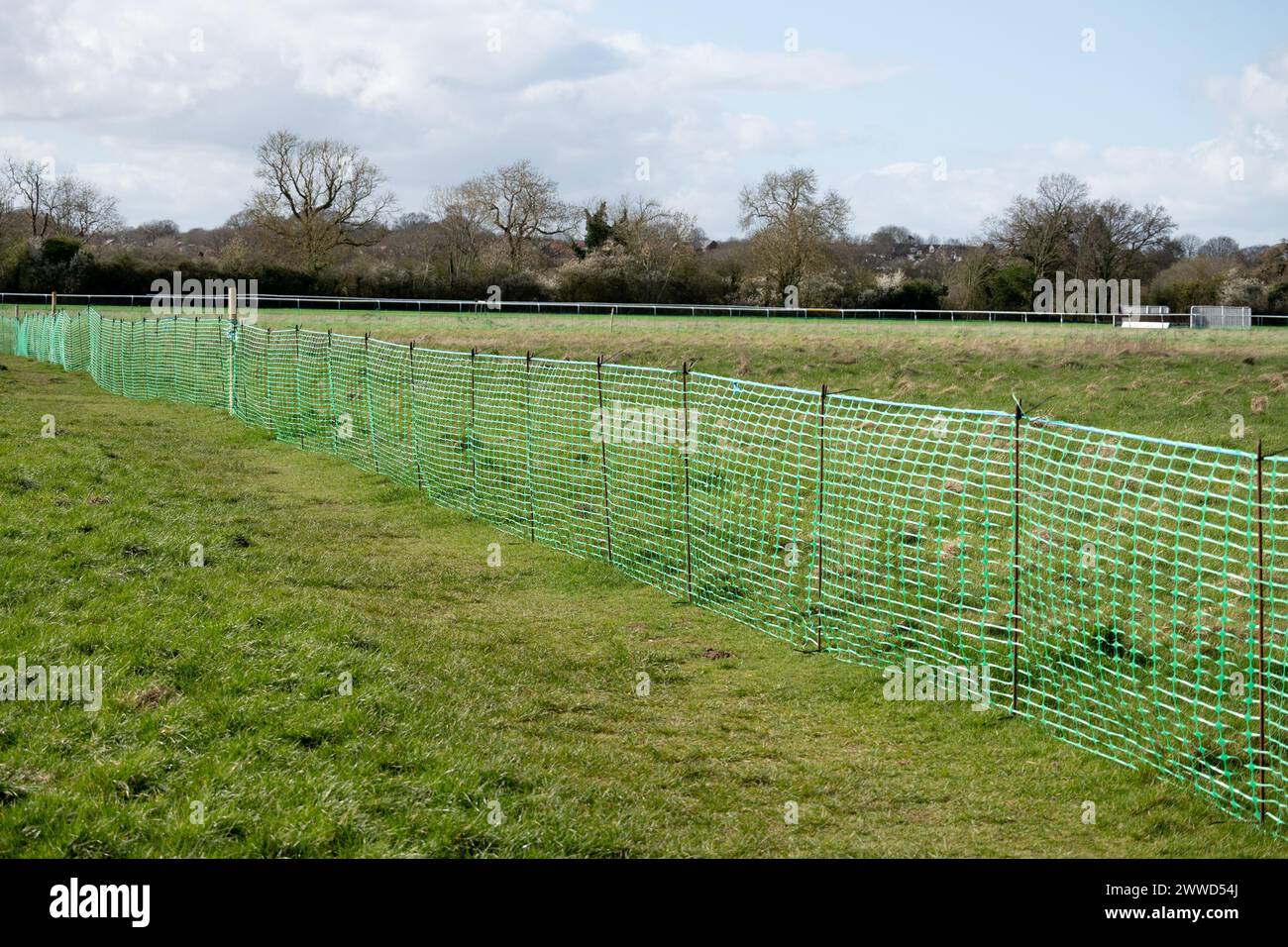 Kunststoffzäune auf St. Marys Land zum Schutz der Nistplätze von Skylark, Warwick, Warwickshire, Großbritannien Stockfoto