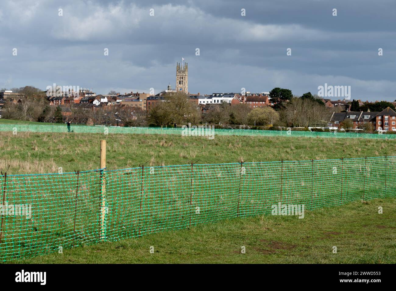 Kunststoffzäune auf St. Marys Land zum Schutz der Nistplätze von Skylark, Warwick, Warwickshire, Großbritannien Stockfoto