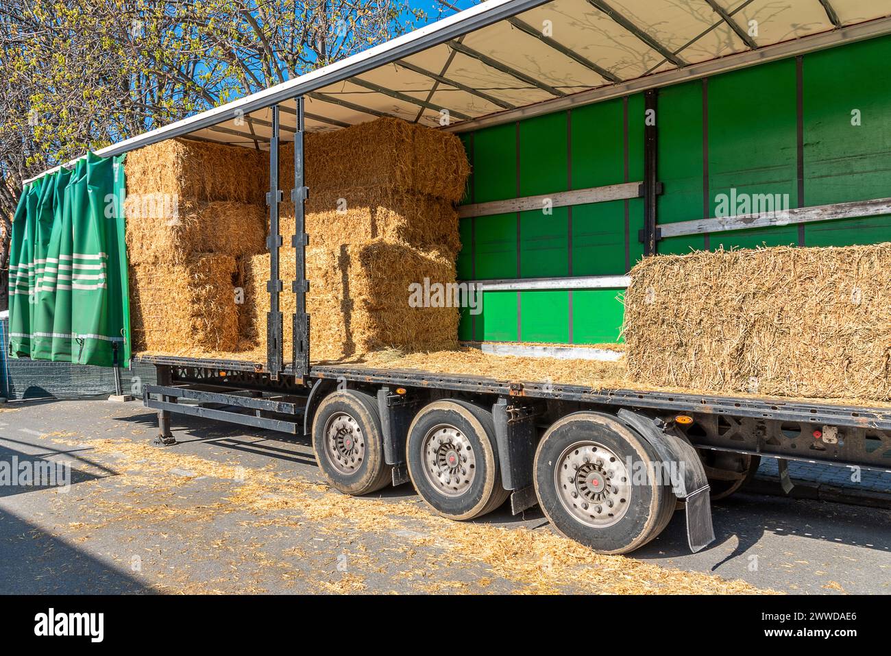 Große Strohballen und Heu beladen auf Lkw-Anhänger Stockfoto