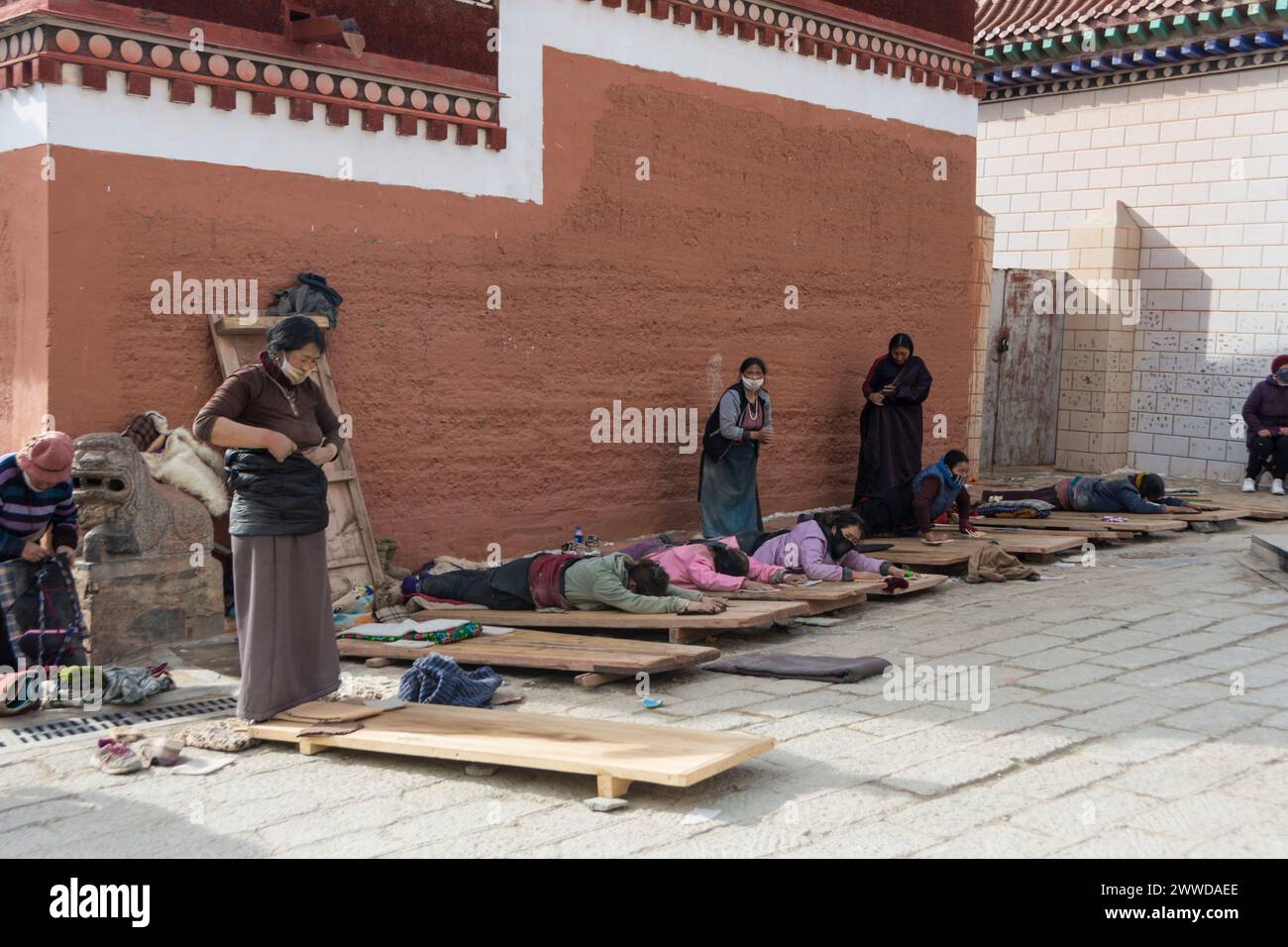 Pilgerinnen, die sich auf Holzbrettern im Kloster Labrang niederwerfen. Xiahe County, Gannan, Autonome Tibetische Präfektur, Gansu, China Stockfoto