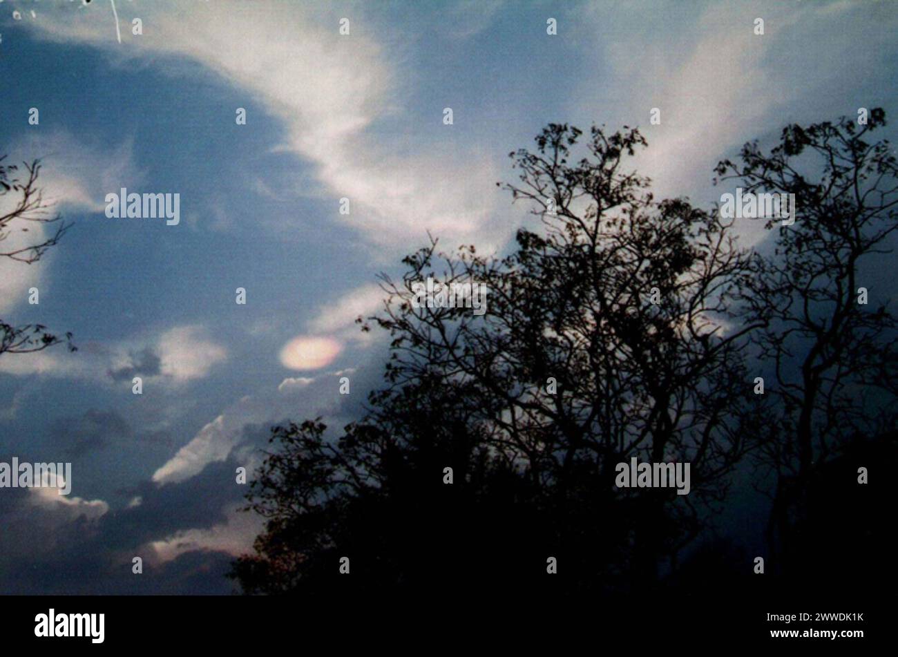 Farbfoto des Lichts am Himmel, Sri Lanka Beschreibung: Foto von „einem ungewöhnlichen atmosphärischen Vorkommen, das über Sri Lanka beobachtet wurde“, das von der RAF Fylingdales an das Verteidigungsministerium weitergeleitet wurde. Datum: 27. März 2004 Bäume, Himmel, Baum, Wolken, Ufos, srilanka, Ministerium für Verteidigung Stockfoto