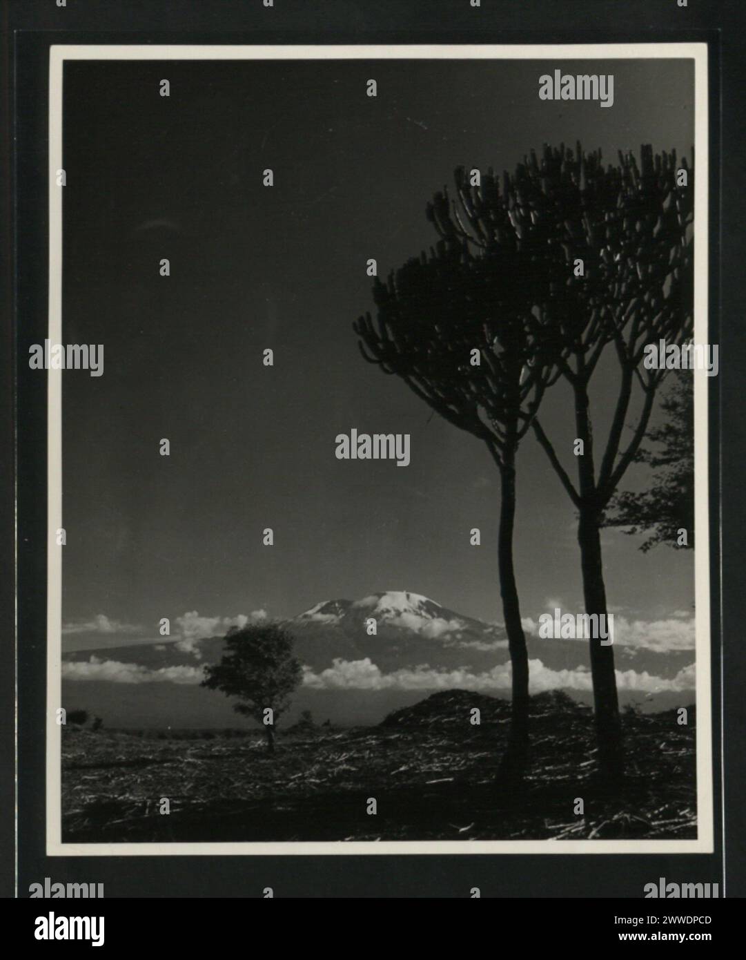 Visuelle Aufzeichnungen von Tanganjika in Ostafrika, die geografische, kulturelle und ökologische Merkmale der Region zeigen. Stockfoto