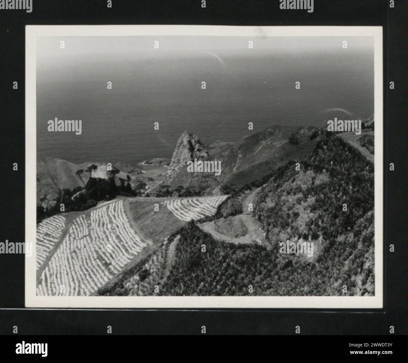 Beschreibung: Eine Flachsplantage und ein Fasertrocknungsfeld in Fairyland mit Sandy Bay Beach und Partie im Hintergrund. Lage: Fairyland, St Helena Datum: 1958-1969 Stockfoto