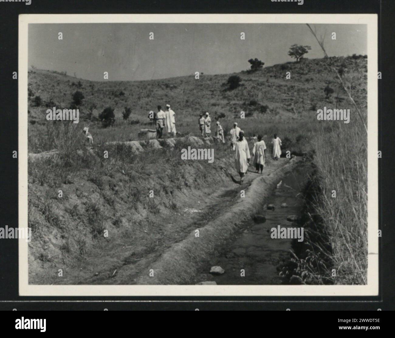 Die Erosionskontrolle arbeitet bei Mubi und zeigt Bodenstabilisierungsstrukturen und Maßnahmen zur Verhinderung von Bodendegradation. Stockfoto
