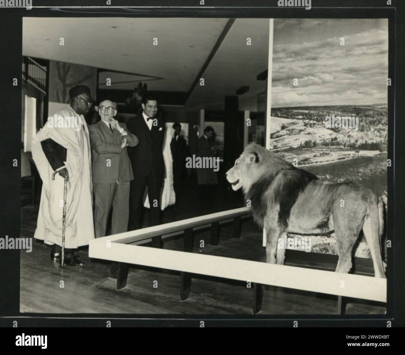 In der Tanganyikan-Sektion des Commonwealth-Instituts in Nigeria sind Kenneth Bradley, Direktor, und Chief Arthur Prest, kommissarischer Hochkommissar für die Föderation Nigerias, für offizielle Aufgaben anwesend. Stockfoto