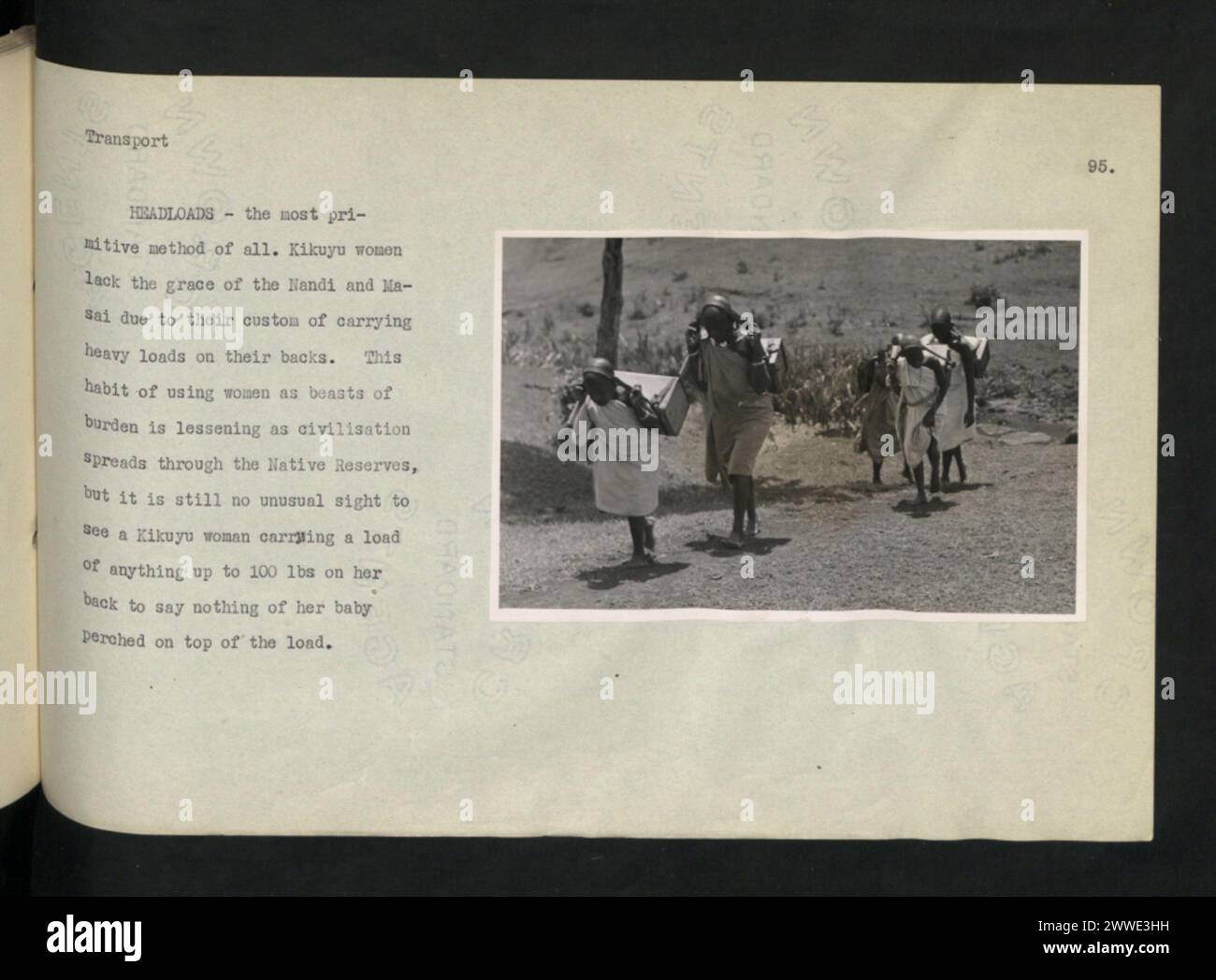 Kikuyu-Frauen in Kenia tragen schwere Lasten auf dem Rücken, eine traditionelle Transportmethode, die im Vergleich zu den Nandi und Masai weniger anmutig ist. Stockfoto