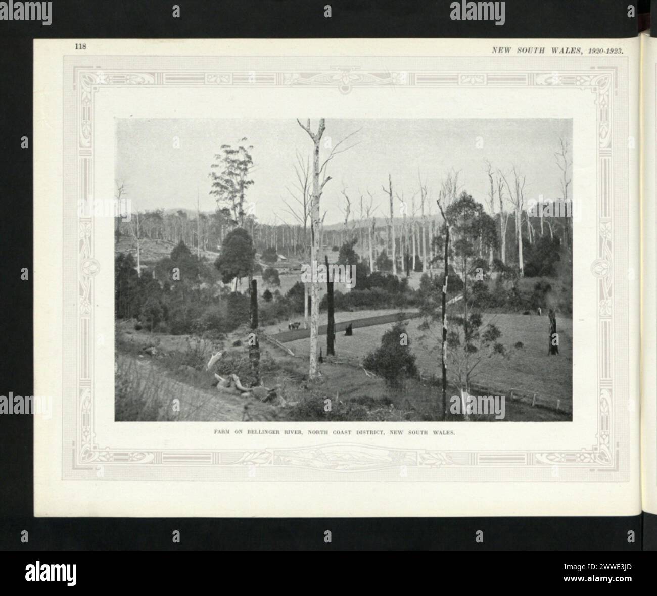 Beschreibung: Farm am Bellinger River, North Coast District, New South Wales. Ort: New South Wales, Australien Datum: 1920 australien, australasien, ozeanien, australasiathroughalens Stockfoto