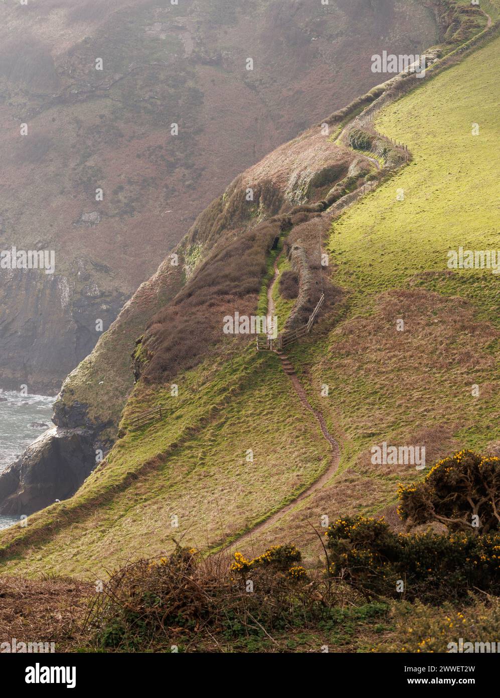 Ein steiler Anstieg auf dem Küstenpfad bei Pentire Head, North Cornwall, Großbritannien Stockfoto