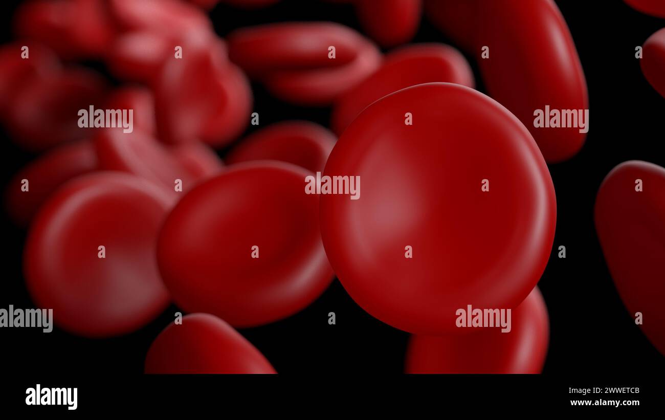 Rote Blutkörperchen. Erythrozyten. 3D Abbildung. Stockfoto