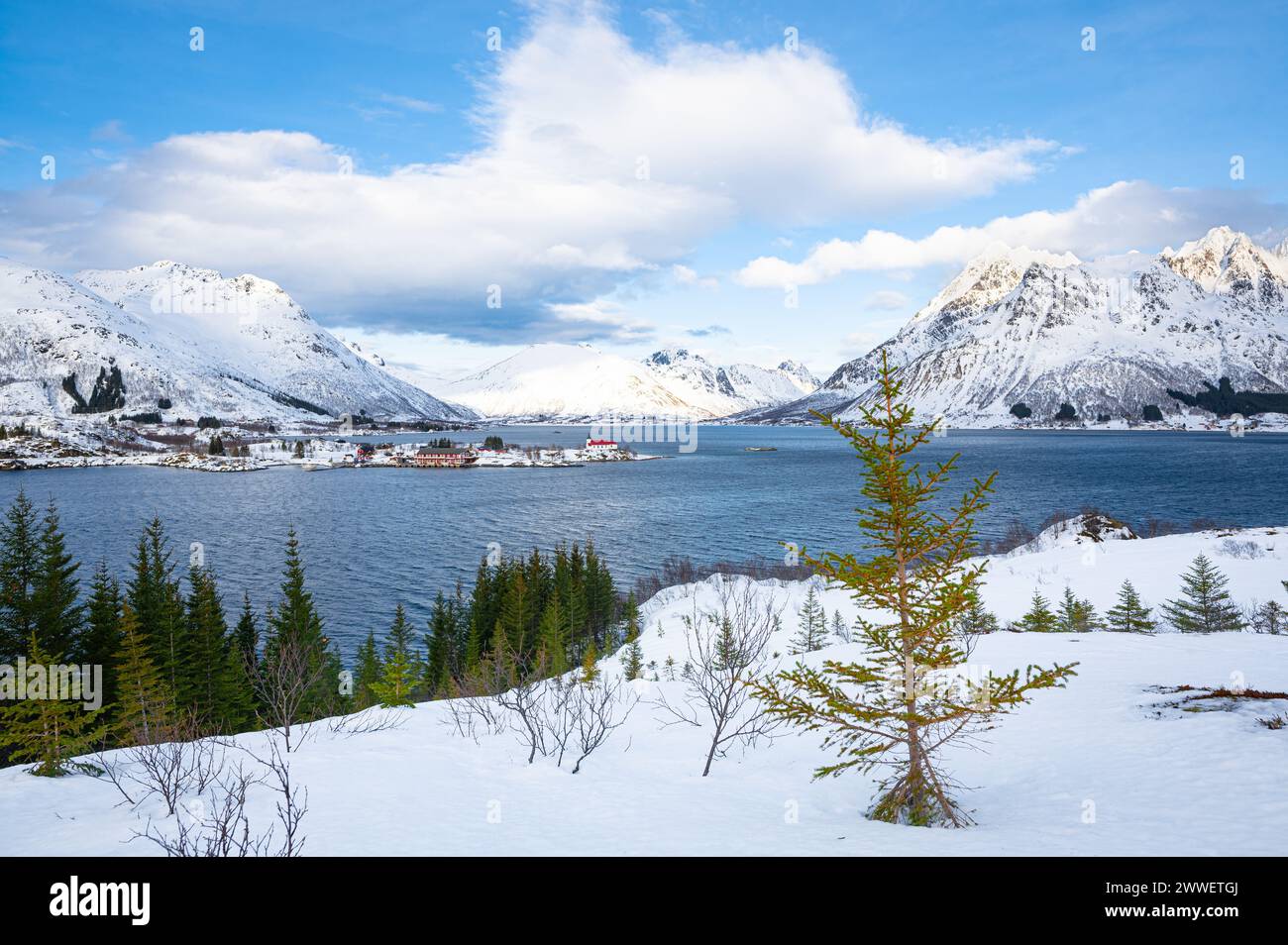 Wunderschöne arktische Winterlandschaft des Austnesfjordens mit einsamer Fichte im Vordergrund. Lofoten-Archipel in Nordnorwegen. Stockfoto