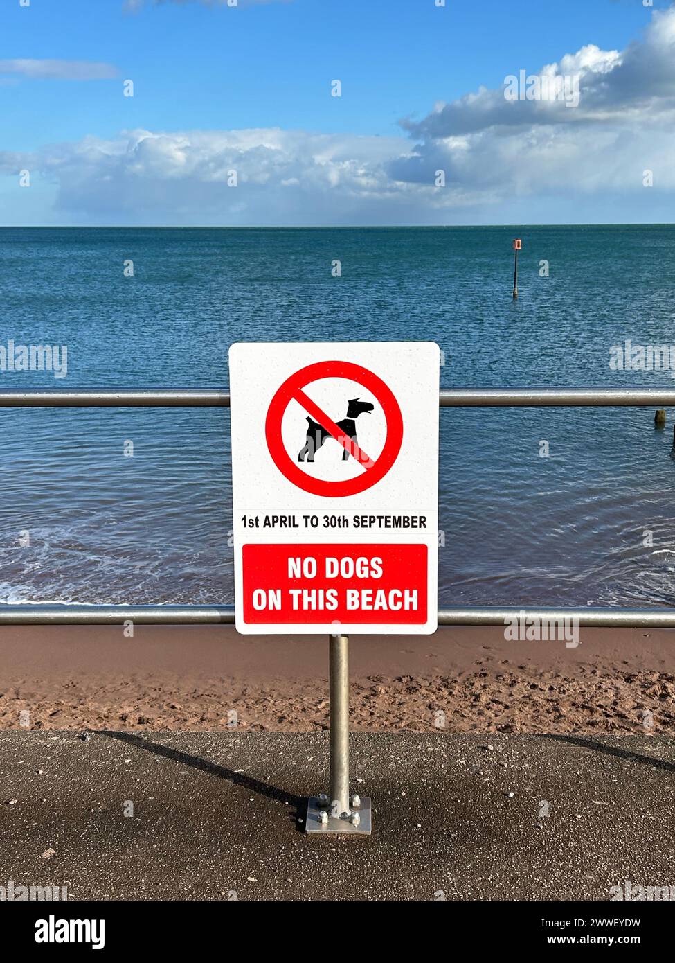 Keine Hunde auf dem Strandschild Stockfoto