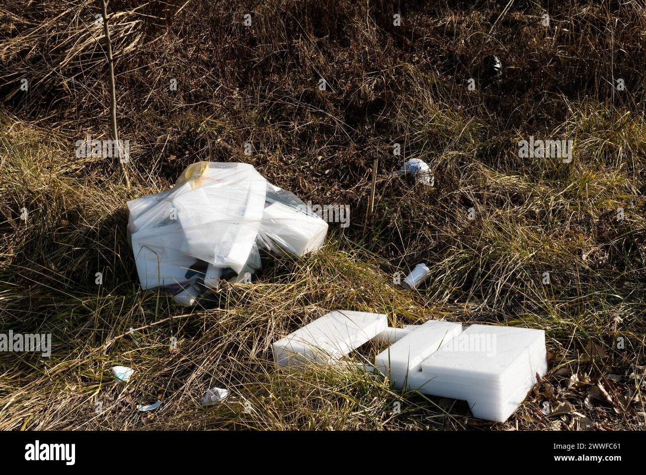 Entsorgte Polystyrol-Behälter in Südkorea auf einem Feld verstreut, in dem Umweltvernachlässigungen zum Ausdruck kommen Stockfoto