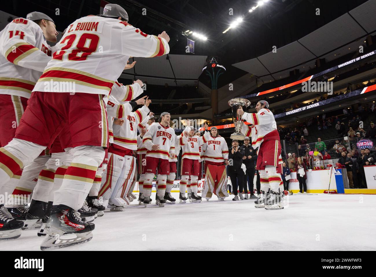 SAINT PAUL, MN - MARCH 23: Denver Pioneers celebrate winning after the NCHC Frozen Faceoff championship game between the Omaha Mavericks and Denver Pioneers on March 23, 2024, at the Xcel Energy Center in Saint Paul, MN. (Photo by Bailey Hillesheim/Icon Sportswire) (Icon Sportswire via AP Images) Stockfoto