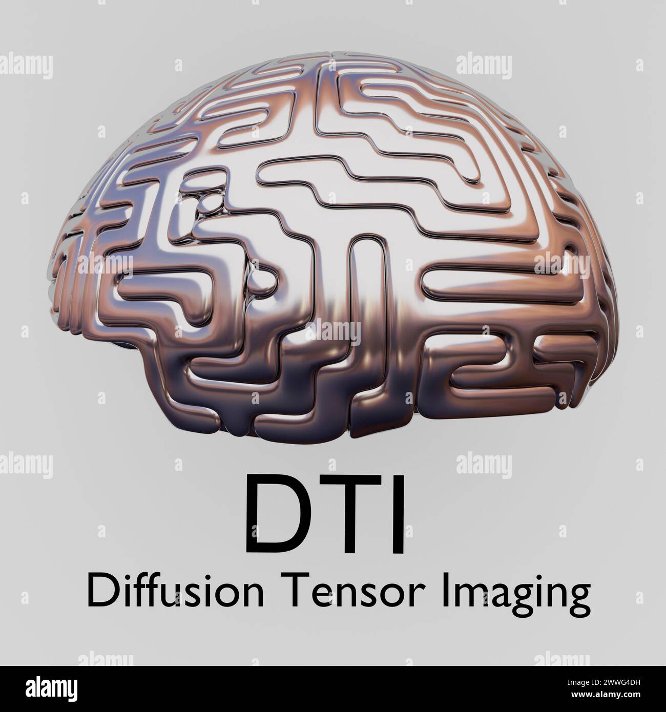 3D-Illustration eines menschlichen Gehirns mit dem Titel DTI – Diffusions-Tensor-Bildgebung. Stockfoto