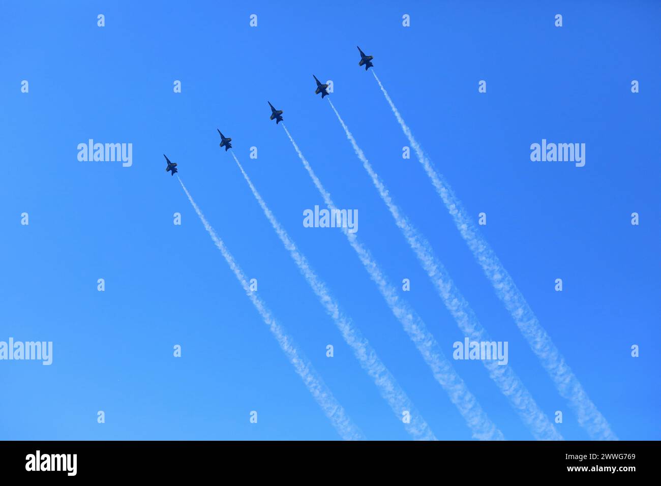 Belle Chasse, USA. März 2024. Die U.S. Navy Blue Angels treten am 23. März 2024 auf der New Orleans Airshow auf der Naval Air Station Joint Reserve Base in Belle Chasse, Louisiana, USA, auf. Quelle: Lan Wei/Xinhua/Alamy Live News Stockfoto