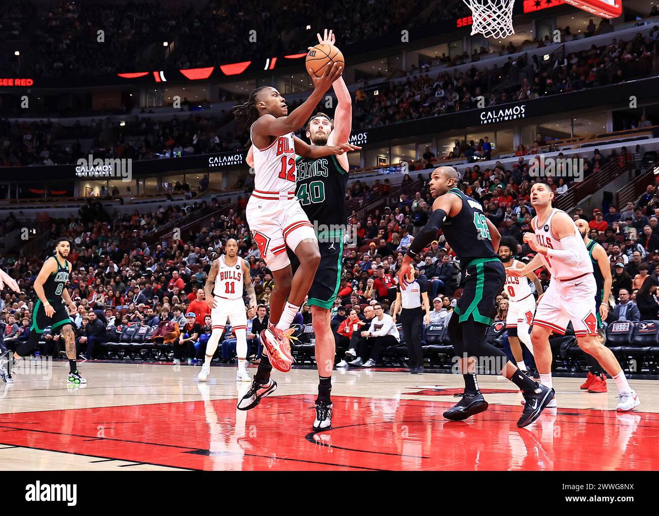 Chicago, NBA, reguläres Saisonspiel zwischen Boston Celtics und Chicago Bulls in Chicago. März 2024. Der Chicago Bulls Guard Ayo Dosunmu (L, TOP) spielt am 23. März 2024 in Chicago, USA, während der NBA-Regular-Season-Spiele zwischen Boston Celtics und Chicago Bulls. Quelle: Joel Lerner/Xinhua/Alamy Live News Stockfoto